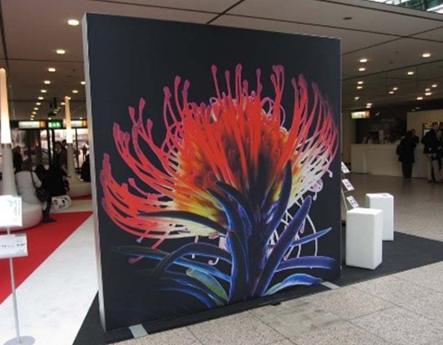Backlit backdrops printed in Dubai